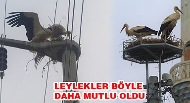 LEYLEKLER GELMEYE BAŞLADI KÖYLÜLER İSTEDİ GEDİZ ELEKRTRİK YAPTI