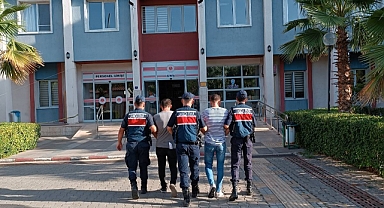 ZEYTİNYAĞI HIRSIZLARI YAKALANDI