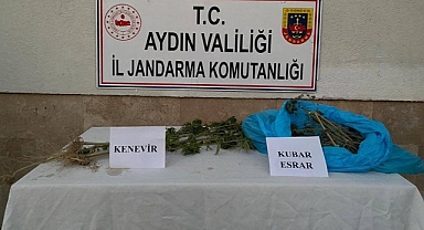 AYDIN GENELİ UYUŞTURUCU DENETİMLERİ