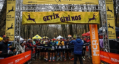 Belgrad Ormanını Geyikler Bastı!