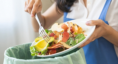 Gıda İsrafının Önlenmesinde Dondurulmuş Gıdaları Rolü
