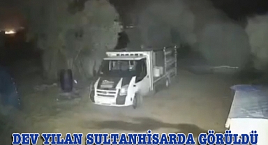 SULTAHHİSAR'DA DEV YILAN