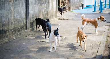 AKP ve CHP Uzlaştı O Yasa’da önemli değişiklik