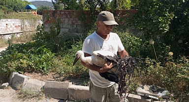 DOĞAYA ATILAN TARIMSAL KAYNAKLI İPLER LEYLEKLERİN ÖLMESİNE NEDEN OLUYOR