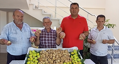 SEZONUN İLK KURU İNCİRİ 250 TL İLE TEZGAHA DÜŞTÜ