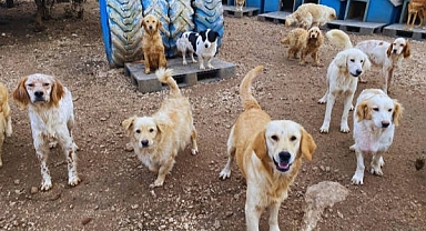 Tartışma konusu olan o yasa meclise sunuldu