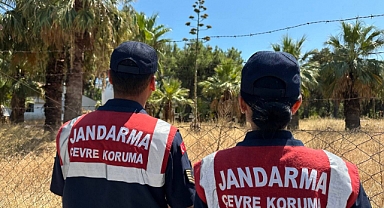 60 İLE 100 YILDA BİR ÇİÇEK VEREN AGAVE BİTKİSİ BULUNDU