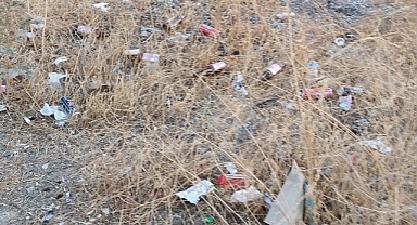 Biz Ormanları böyle koruyamayız