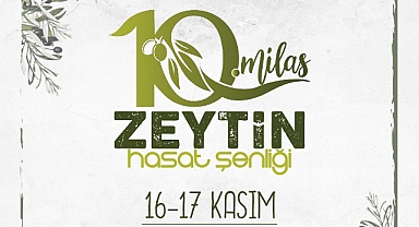 10. MİLAS ZEYTİN HASAT ŞENLİĞİ İÇİN GERİ SAYIM BAŞLADI