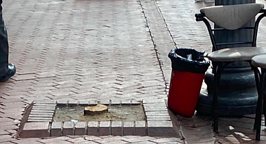 Nazilli’de Uzun Çarşı’da bazı turunç ağaçları kesildi