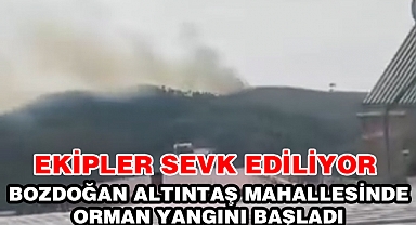 Bozdoğan Altıntaş Mahallesinde orman yangını