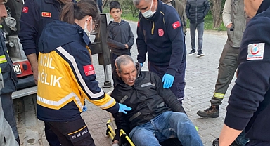 Çam Kozalağı toplayacağım derken canından oluyordu