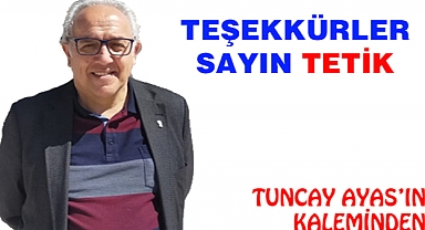 TEŞEKKÜRLER , SAYIN  TETİK