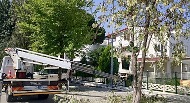 BAŞKAN ÇERÇİOĞLU'NUN ÇALIŞMALARI İLE KUŞADASI YAZ SEZONUNA HAZIRLANIYOR