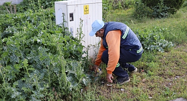 Nazilli Belediyesi’nden yoğun temizlik mesaisi