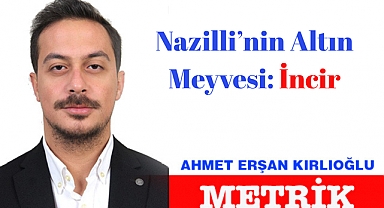 Nazilli'nin Altın Meyvesi: İncir