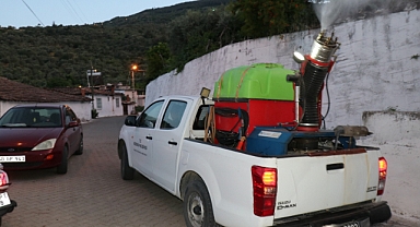 Bozdoğan’da İlaçlama Çalışmaları Aralıksız Sürüyor