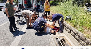 Direksiyon hakimiyetini kaybederek yere düştüler 