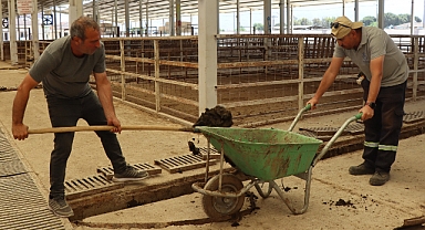 Nazilli Belediyesi’nden Hayvan Pazarında temizlik seferberliği