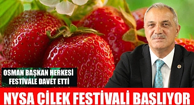 Sultanhisar Çilek Festivali Başlıyor