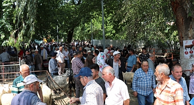Bozdoğan'da Kurban Satış Alanı Hazır: Belediye Tüm Önlemleri Aldı