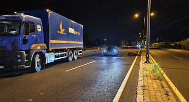 Karayoluna çıkan at Faciaya neden oluyordu