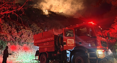 KARINCALI DAGINDA KORKUTAN YANGIN 