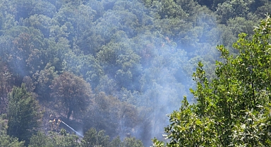 Ketenova'da orman yangını söndürüldü 