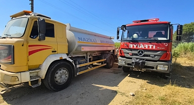 Mergen Çayı kenarında sazlık alanda yangın çıkti