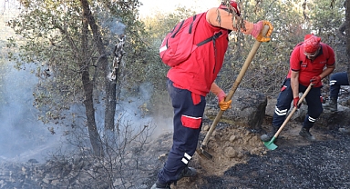 NAFAD’ın başarıları büyük ses getiriyor