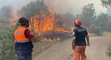  Yangınların arasında kalan 10 Orman işçisi hayatını Kaybetti