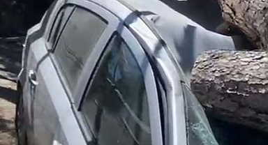 BOZDOĞAN'DA FIRTINA ETKİLİ OLDU 