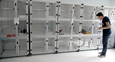 DAVUTLAR MAHALLESİ KEDİ KISIRLAŞTIRMA MERKEZİ’NE İLGİ HER GEÇEN GÜN ARTIYOR