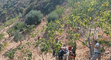 MOTOSİKLET UÇURUMA YUVARLANDI 3 YARALI