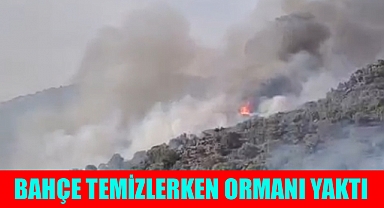 BAHÇE TEMİZLERKEN ORMANI YAKTI