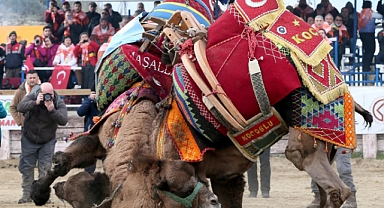 Deve güreşleri ertelendi.