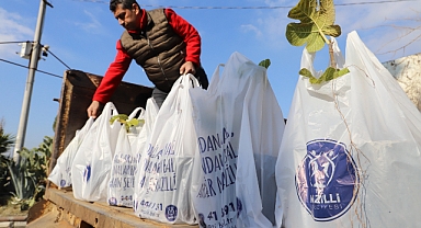 NAZİLLİ BELEDİYESİ YEŞEREN TOPRAKLAR PROJESİ İLE 5 BİN AĞAÇ FİDANI DAĞITTI