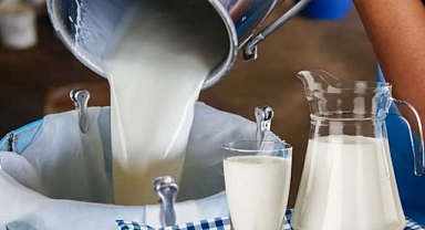 Süt ve Süt Ürünleri Üretimi, Kasım 2025