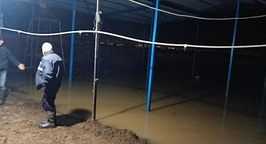 Koçarlı’da su baskını sonrası hayvan tahliyesi sürüyor   