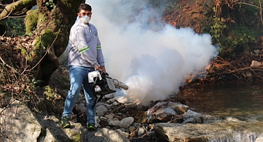 Bozdoğan Belediyesi İlaçlama Çalışmalarını Aralıksız Sürdürüyor