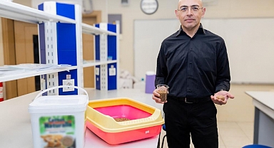 Ceviz kabuğundan kedi kumu üretti   