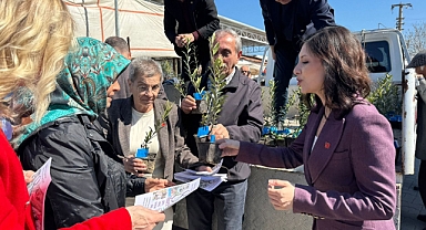 CHP Pazar Pazarında Fidan Dağıttı