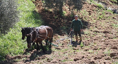 İNCİR'DE KARABASANLA MÜCADELE BAŞLADI