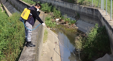 Nazilli Belediyesi sivrisinek ve haşereyle mücadeleye kesintisiz devam ediyor