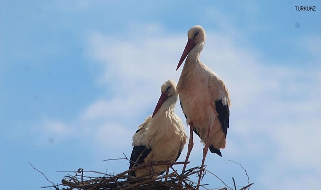 BU LEYLEĞİN 40 YILLIK HATIRI VAR
