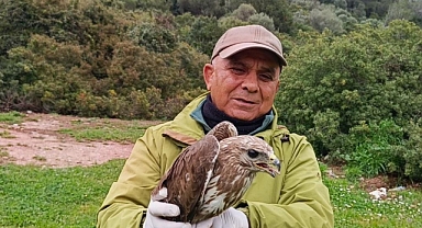 Kuşadası’nda yaralı şahin tedavisinin ardından doğaya bırakıldı 