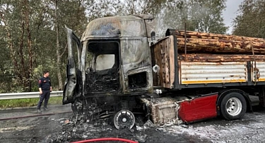 Tomruk yüklü tır alev topuna döndü   